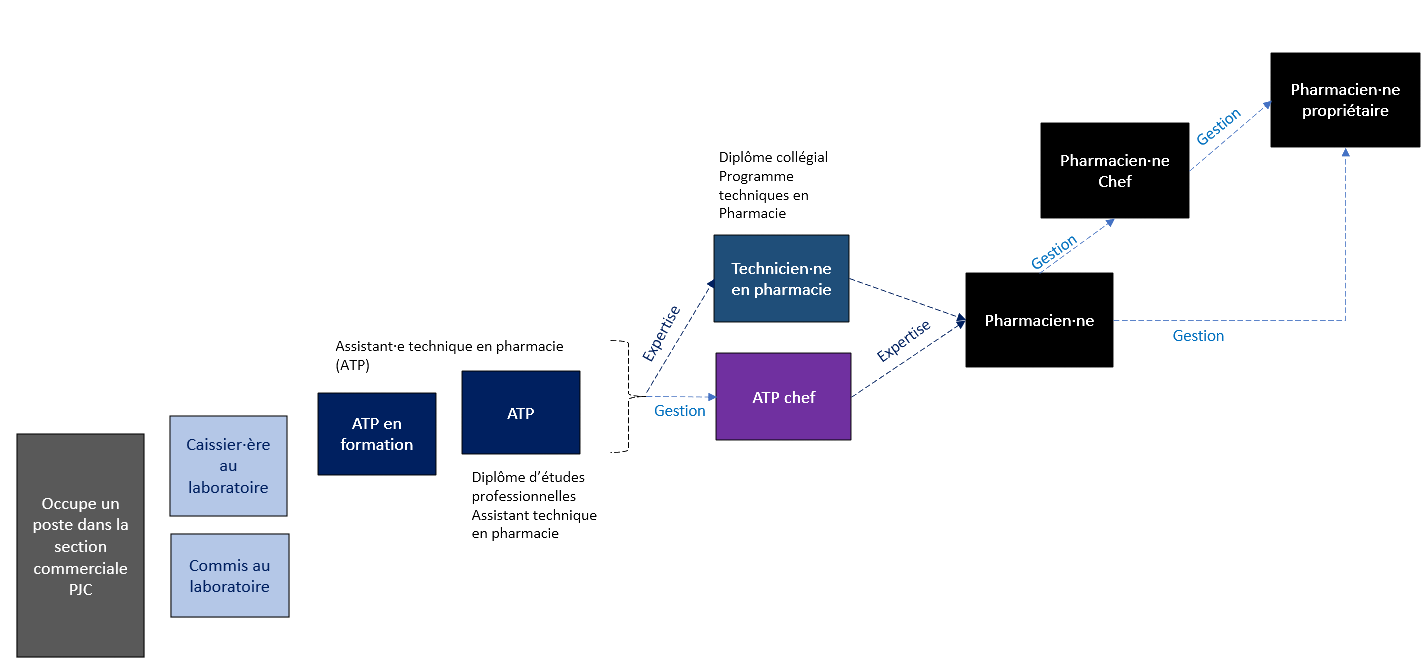 Career Development Diagram